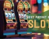 Factors driving popularity of credit slot games among diverse player groups